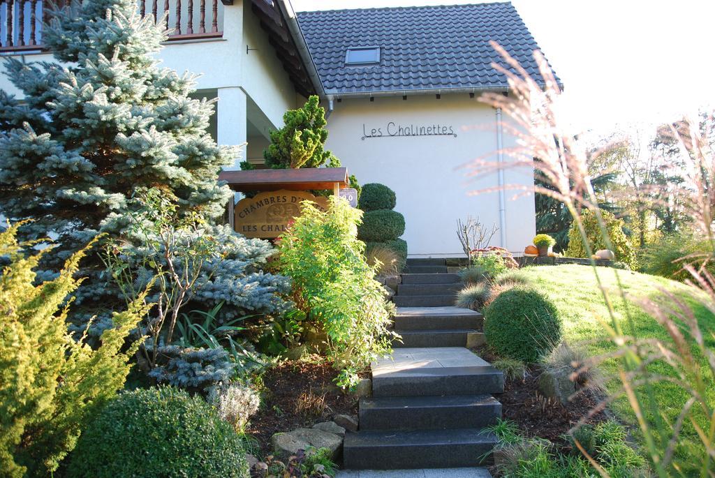 Chambres D'Hotes Les Chalinettes Fegersheim Екстер'єр фото