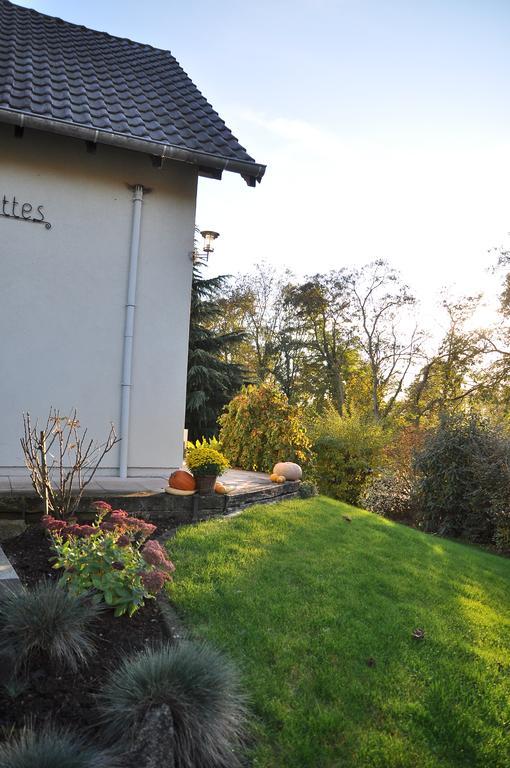Chambres D'Hotes Les Chalinettes Fegersheim Екстер'єр фото